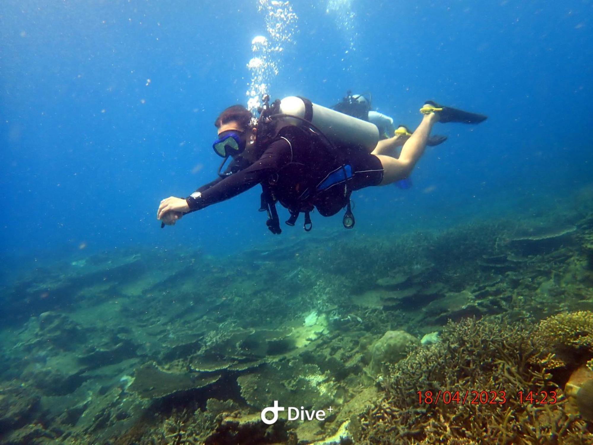 Con Dao Backpacker - Loco Camping Chi Khu Co Ong Εξωτερικό φωτογραφία